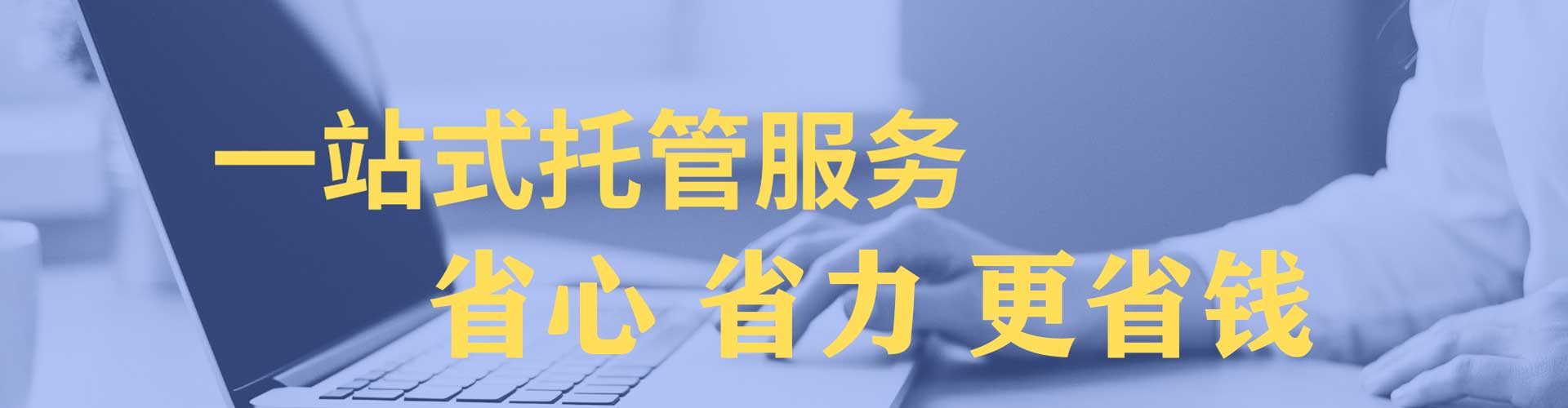 大溪竞价端口开户